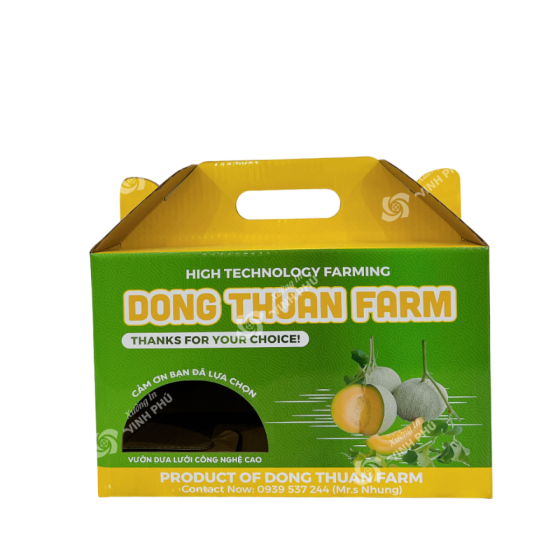 Hộp Carton quai xách dây gài đựng trái cây