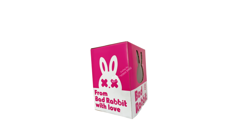 Hộp Carton sóng bồi in offset dán supor dùng cho các nhãn hàng thời trang