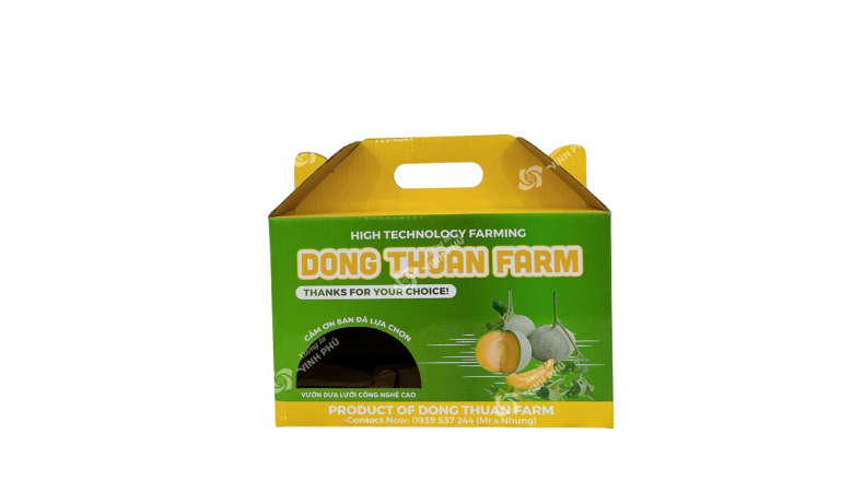 Hộp Carton quai xách dây gài đựng trái cây
