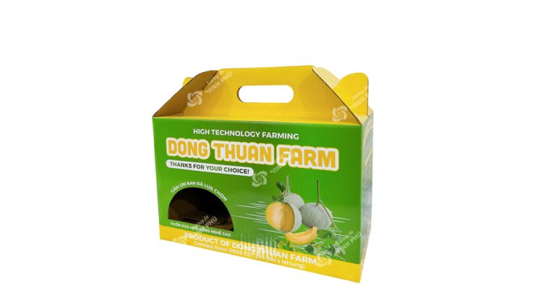 Hộp Carton quai xách dây gài đựng trái cây