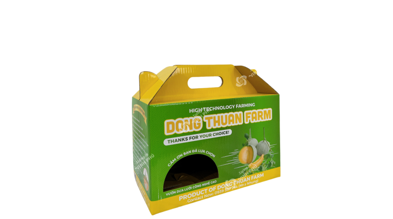 Hộp Carton quai xách dây gài đựng trái cây