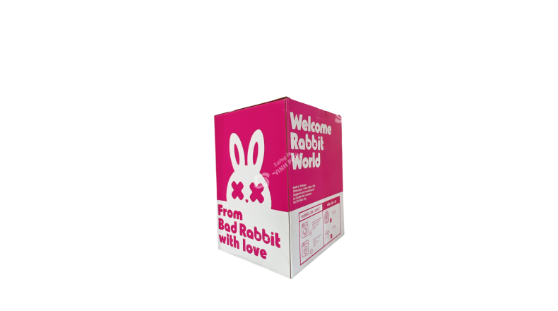 Hộp Carton sóng bồi in offset dán supor dùng cho các nhãn hàng thời trang